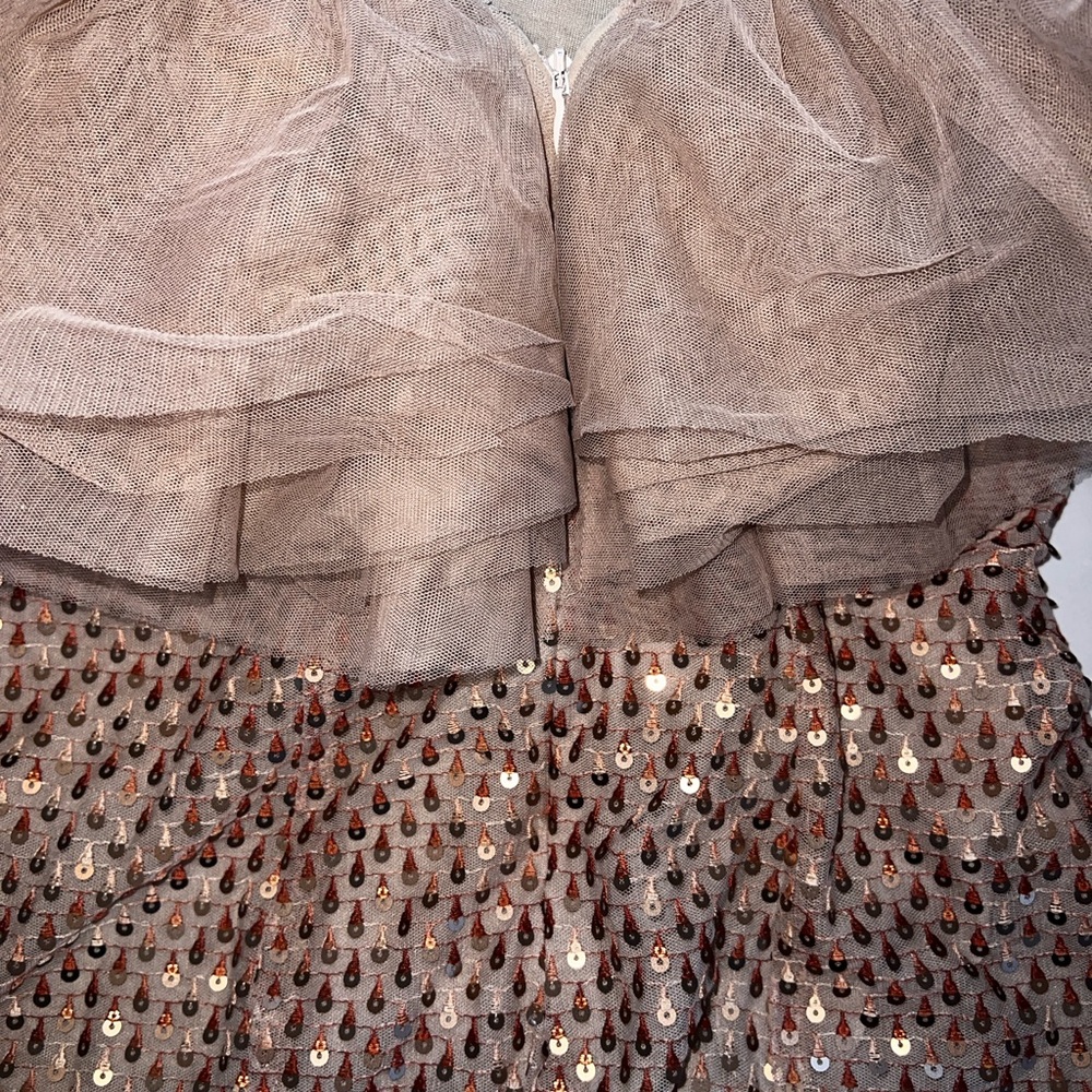 Formal Nude dramatic Ruffled sequence Blouse - Picture 13 of 13